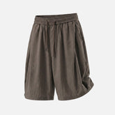Clean-Fit Pleated Tailored Shorts